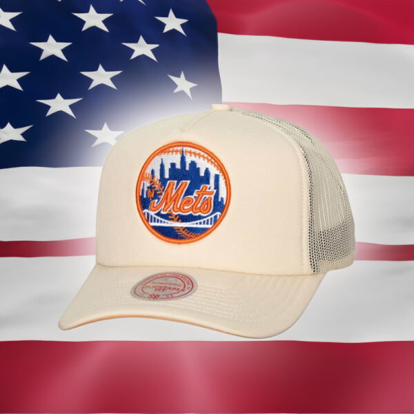 Evergreen Trucker Snapback Coop New York Mets Hats Embroidery